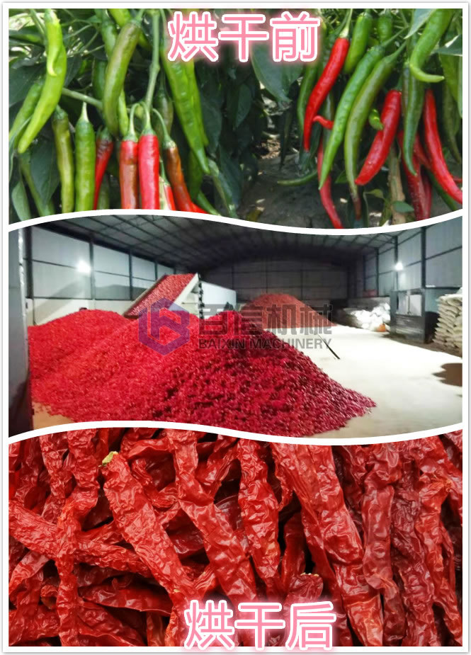 辣椒烘干機(jī)